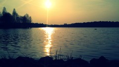 Sunrise Sea stones nature Trees water Parks