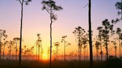 Sunrise sunset Florida national park