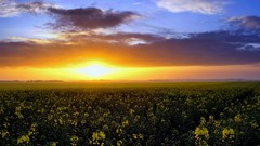 Sunrise sunset nature sun clouds heaven blue skies skyscapes