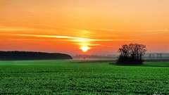 Sunrise sunset nature sun fields