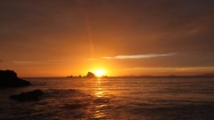 Sunrise sunset Sea nature New Zealand rocks Oceans Beaches
