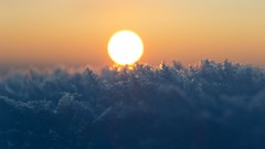 Sunrise sunset sun dawn hoarfrost