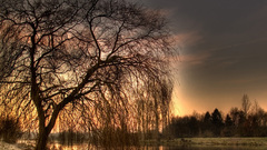 Sunrise sunset Trees river Lake