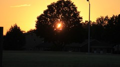 Sunrise sunset Trees silhouettes