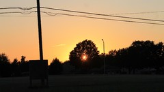 Sunrise sunset Trees silhouettes