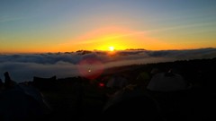 Sunrise sunset Trees yellow sun blue red orange colors 