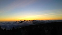 Sunrise sunset Trees yellow sun blue red orange colors 