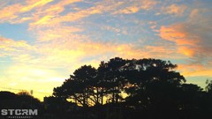 Sunrise sunset Trees yellow sun blue red orange colors 