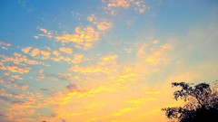 Sunrise sunset Trees yellow sun blue red orange colors 