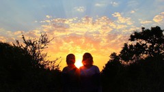 Sunrise sunset Trees yellow sun blue red orange colors 