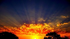 Sunrise sunset Trees yellow sun blue red orange colors 