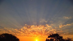Sunrise sunset Trees yellow sun blue red orange colors 