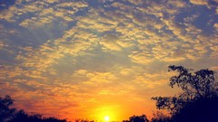 Sunrise sunset Trees yellow sun blue red orange colors 