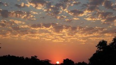 Sunrise sunset Trees yellow sun blue red orange colors 