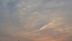 Sunrise Trees clouds blue skies