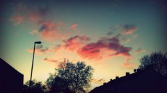 Sunrise Trees clouds houses multicolor skyscapes