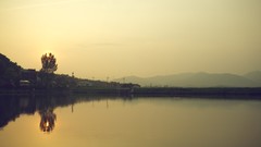 Sunrise Trees lakes reflections