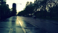 Sunrise Trees rain Taxi Parks streets