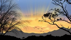 Sunrise Trees silhouettes