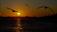 Sunrise Turkey Istanbul bosphorus