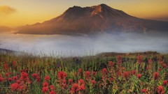 Sunrise Washington mount