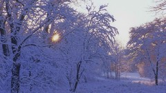 Sunrise winter illinois