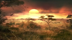Sunset Africa