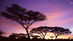 Sunset Africa colors Tanzania