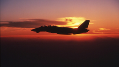 Sunset Aircraft f-14 tomcat