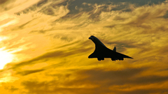 Sunset Aircraft silhouettes concorde