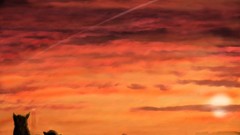 Sunset Animals cats abstract fantasy art