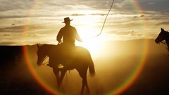 Sunset Animals Horses Cowboys