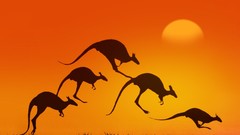 Sunset Animals silhouettes jumping kangaroos Itzik-Gur