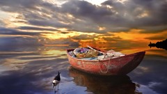 Sunset Animals water clouds orange Boats vehicles skies