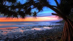 Sunset Australia palm trees Beaches national park