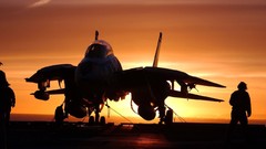 Sunset aviation f-14 tomcat fighter jets