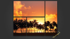 Sunset beach black orange