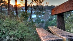 Sunset bench