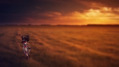 Sunset Bicycles fields motorbikes
