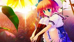 Sunset blue eyes pink