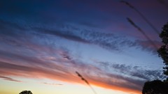 Sunset blue red orange Nikon Rural Outback