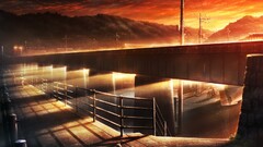 sunset Bridge City cats Animals Mammals sky