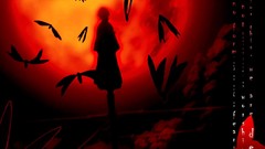 Sunset Butterflies Anime silhouettes bleach kuchiki rukia
