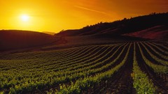 Sunset California Napa Valley