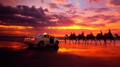 Sunset cars Taxi
