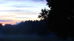 Sunset clouds forests skyscapes