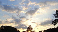 Sunset clouds Landscapes nature