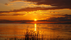 Sunset clouds Landscapes sun