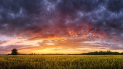 Sunset clouds nature fields