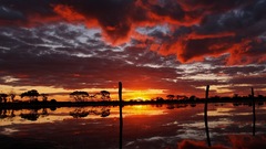 Sunset clouds nature Trees